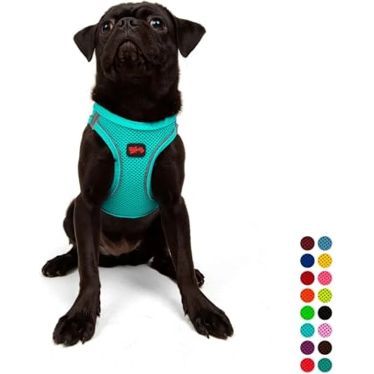 Tailpetz Air-Mesh Brustgeschirr für kleine und mittelgroße Katzen und Hunde – Weich, Atmungsaktiv, Strapazierfähig, Türkis, Größe M (Brustumfang 53–59cm) – Bild 1