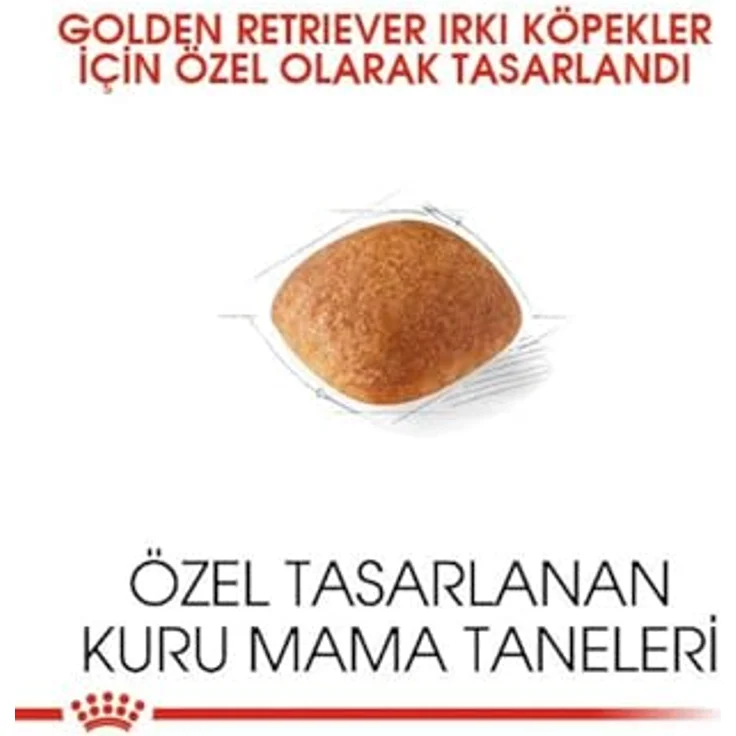 ROYAL CANIN Golden Retriever Adult, Trockenfutter für Hunde, 2x12kg, hochwertige Ernährung – Bild 8