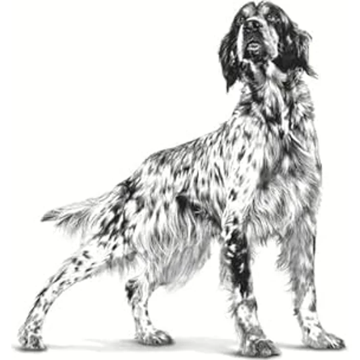 ROYAL CANIN VETERINARY SENSITIVITY CONTROL - CHICKEN WITH RICE, Diät-Alleinfuttermittel für Hunde zur Unterstützung der Verdauung und bei Futtermittelallergien, 12 x 410 g – Bild 4