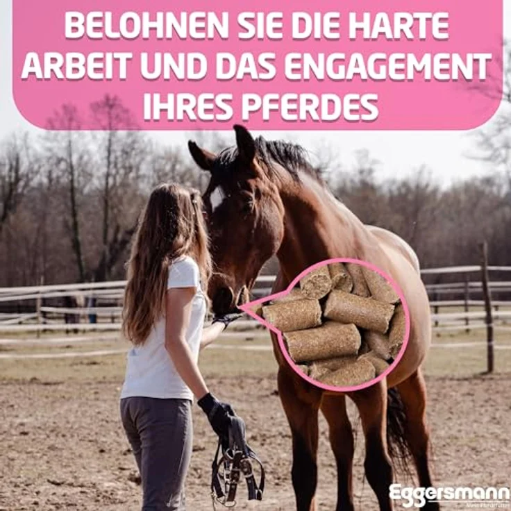 Eggersmann Lecker Bricks Himbeer Pferdeleckerlis, 25 kg Packung, natürliches Kräuter-Geschmack für Pferde und Ponys – Bild 3