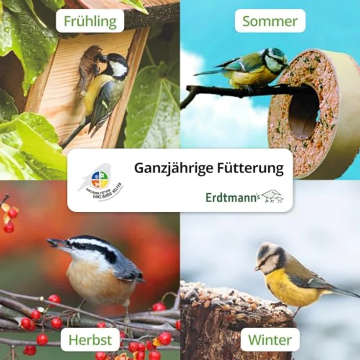 Erdtmann's geschälte Sonnenblumenkerne PLUS, Vogelfutter für Wildvögel, 2,5 kg Flachbeutel ohne Schalenrückstände – Bild 3