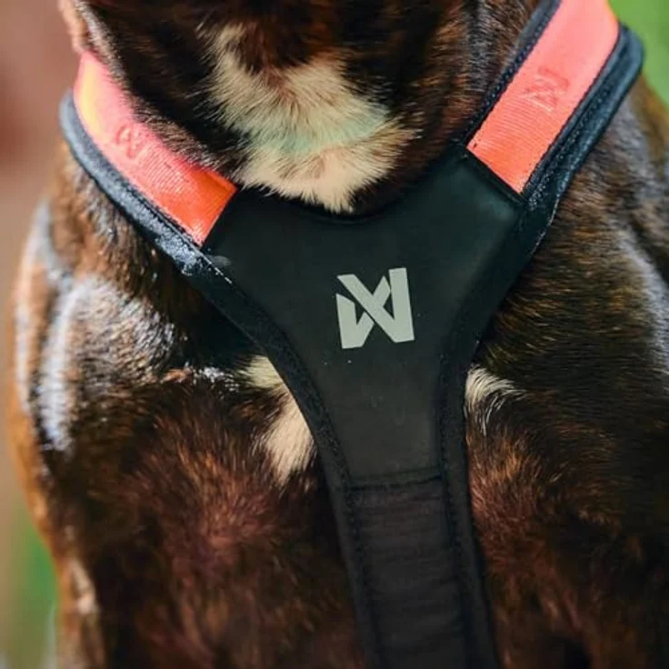 Non-stop dogwear Hundegeschirr Rush Harness, Orange/Schwarz (6) - Leicht, verstellbar und reflektierend – Bild 3