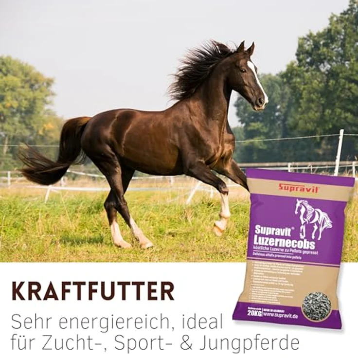 Supravit Luzernecobs 20kg, energiereiches Pferdefutter mit hohem Carotingehalt, staubfreie Pellets für Jung- und Sportpferde – Bild 3