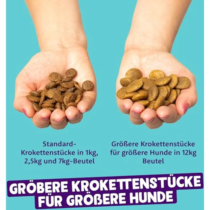 Edgard & Cooper Frischer norwegischer Lachs, Hunde-Trockenfutter, getreidefrei, 2x12kg mit hochwertigem Protein und Omega 3 – Bild 6