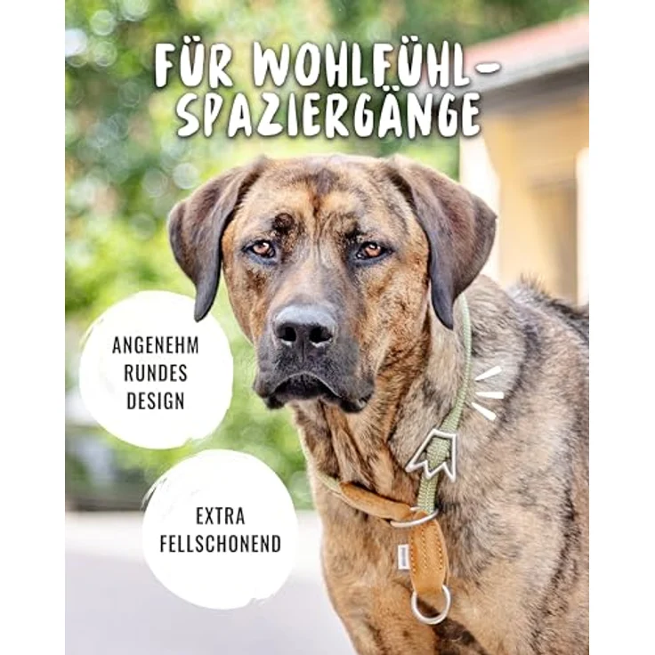 Rudelkönig Hundehalsband Emma, Elegantes Zugstopp Halsband aus Leder und Nylon, ø 12mm, Bequemes Erziehungshalsband für sehr große Hunde, Khaki – Bild 2