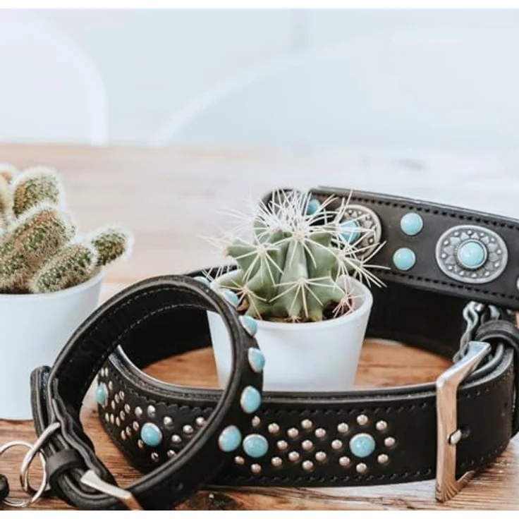 Hunter Hunde-Halsband Sioux S-M – Bild 6