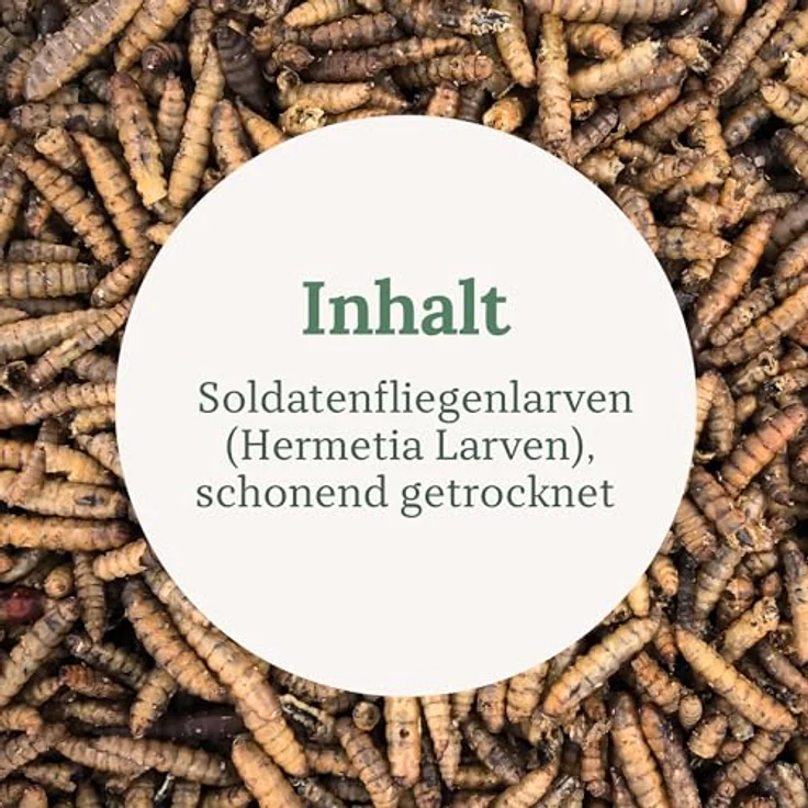 Orni Soldatenfliegenlarven getrocknet 500g, eiweißreiches Insektenfutter für Wildvögel, Igel, Fische, Reptilien & Eichhörnchen – artgerechte Mehlwurm-Alternative, 100% Naturprodukt, ohne Zusatzstoffe – Bild 4