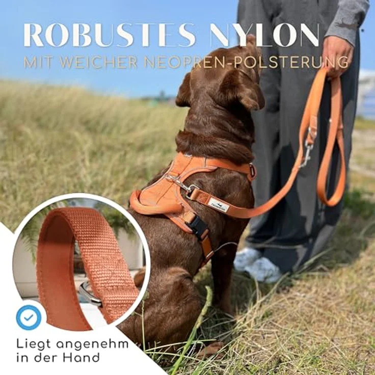 FREUDENTIER Hundeleine Model Clyde, 2m verstellbar, weich gepolstert, robust für mittelgroße & große Hunde, orange, 25mm Breite – Bild 3