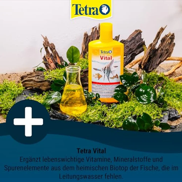 Tetra Vital, Vitalitätsfördernde Wasseraufbereitung für Fische, 250 ml Flasche mit lebenswichtigen Vitaminen und Mineralstoffen – Bild 2