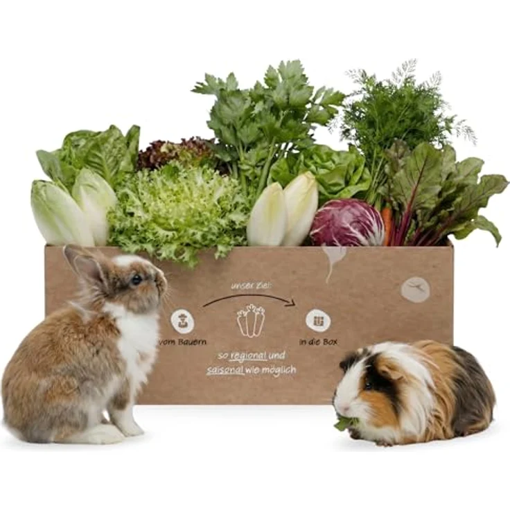 Knollenliebe Grünschmaus Kleintierbox 3 kg - Frisches Salat & Blattgemüse für Kaninchen und Meerschweinchen, saisonal zusammengestellt – Bild 1
