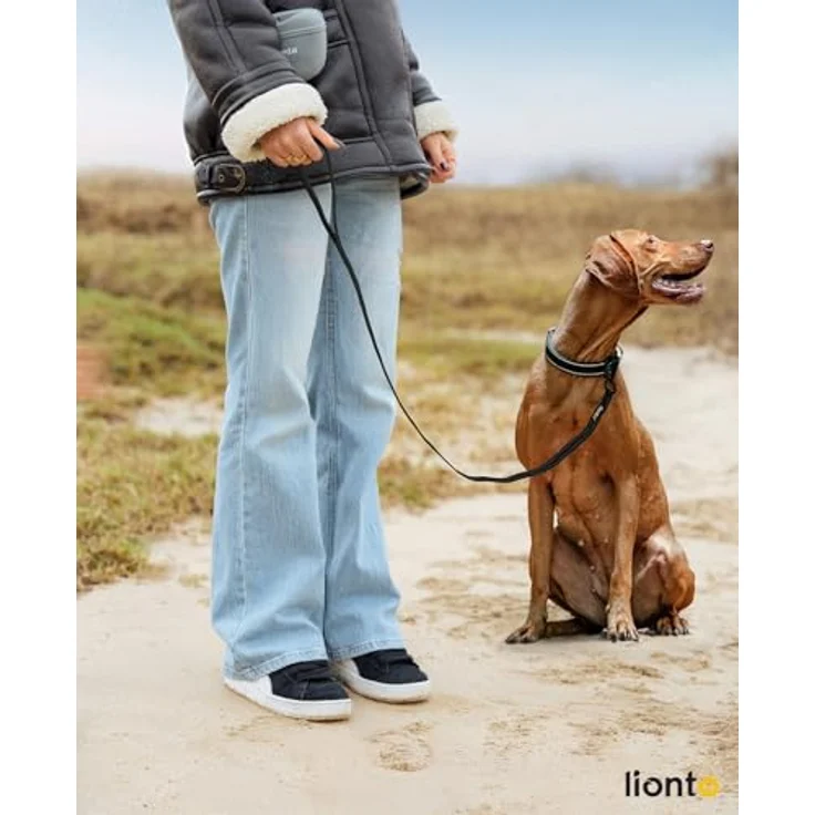lionto Führleine für Hunde, 120 cm, gummierte Leine mit Handschlaufe, 360° Metallkarabiner, Sicherheitsverschluss, reflektierend, wetterfestes Nylon, schwarz – Bild 2