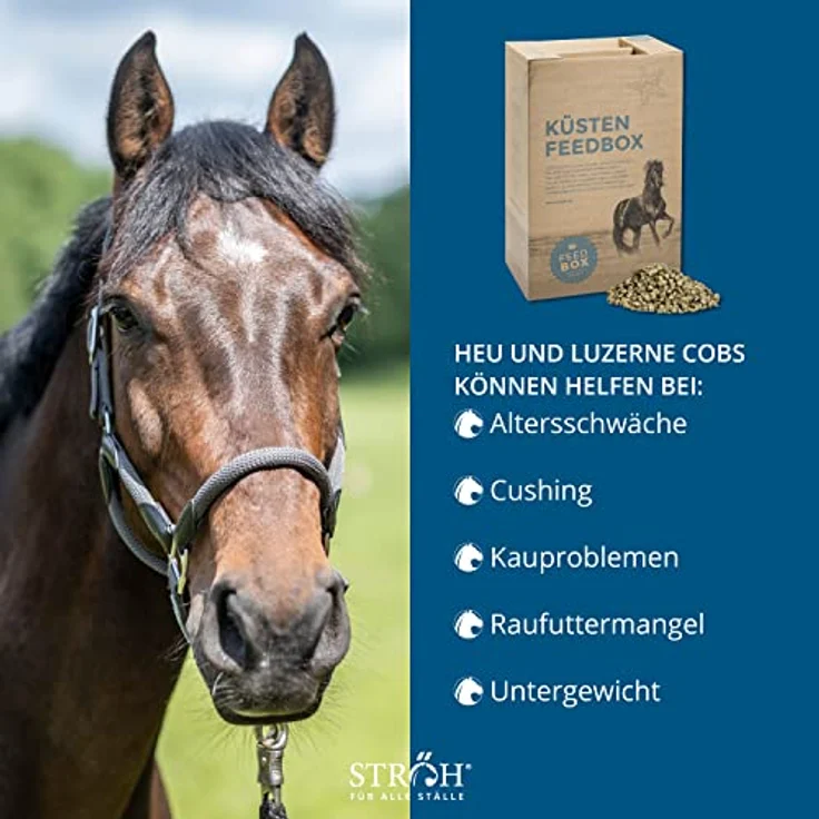 STRÖH Küsten-Heu-Luzerne-Cobs, 30kg Feedbox, Raufutter Snack aus 100% Natur mit essentiellen Aminosäuren, ideal für Pferde mit besonderen Ernährungsbedürfnissen – Bild 3