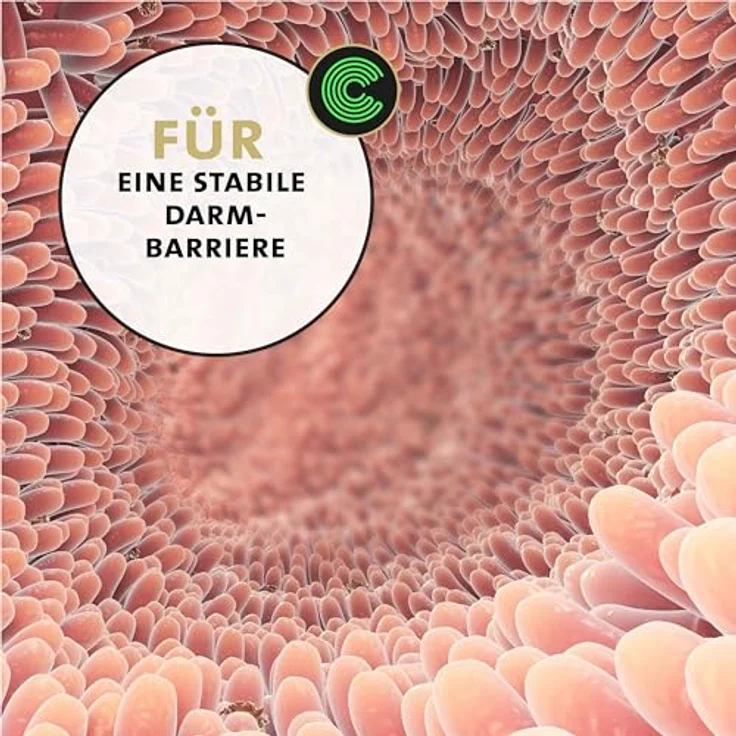 Peticare PetDog Health 2608, Ergänzungsfutter Verdauung & Darm-Mix Pulver für Hunde, 125g mit natürlichen Inhaltsstoffen und CORVITALIS® Komplex – Bild 6