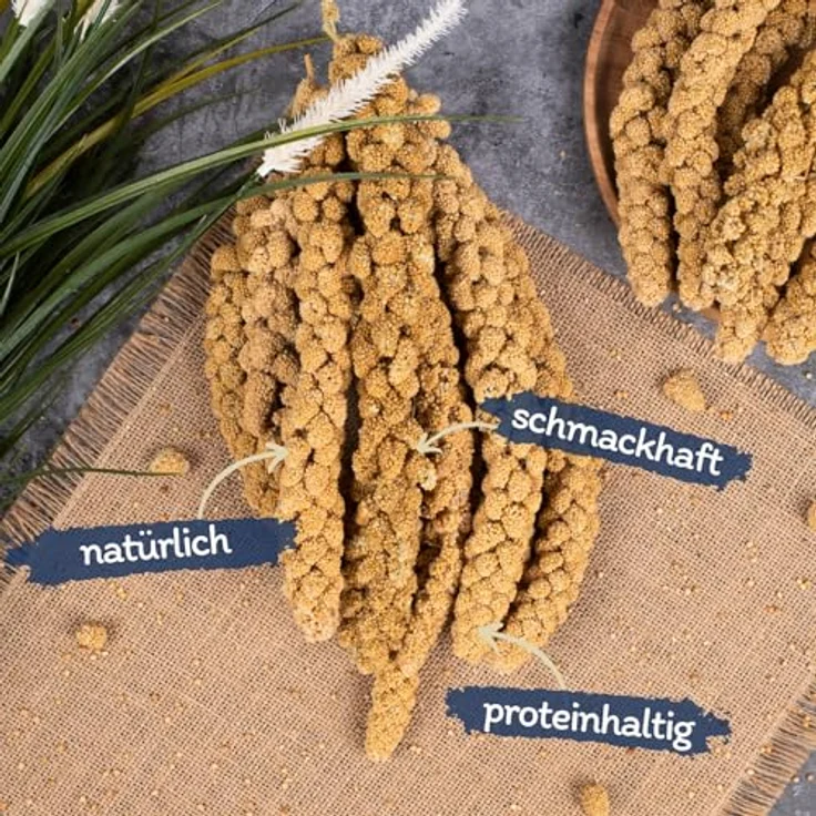Lyra Pet® Kolbenhirse gelb 3 kg, Ganzjähriges Vogelfutter für Ziervögel & Wildvögel, Handverlesene, naturbelassene Hirsekolben – Bild 2