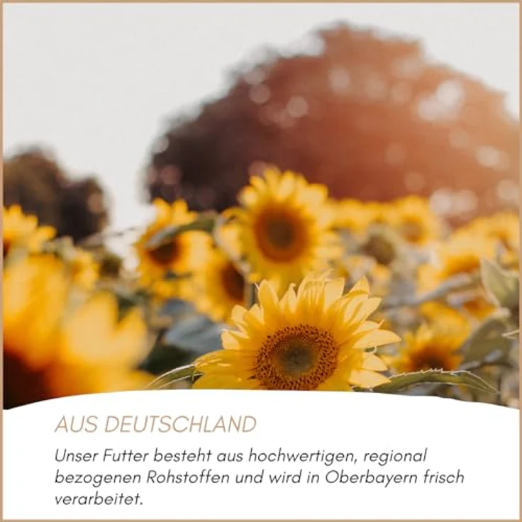 Supravit Sonnenblumenkerne Vogelfutter 25kg geschält, Nährstoffreiches Ganzjahresfutter für Wildvögel, Deutsche Herkunft – Bild 4