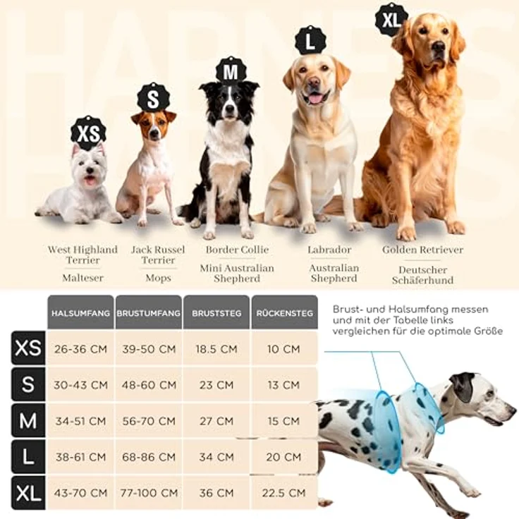 FREUDENTIER Hundegeschirr Let's get Foxy, mit Griff & atmungsaktiver Polsterung, Anti-Zug-Funktion, robust und wasserabweisend, verschiedene Größen verfügbar – Bild 2