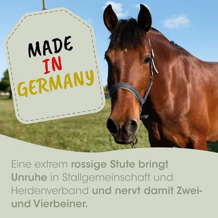 cdVet EQUIGREEN RosseRegulat Pulver für Pferde, 2 kg Packung, freiverkäuflich – Bild 4