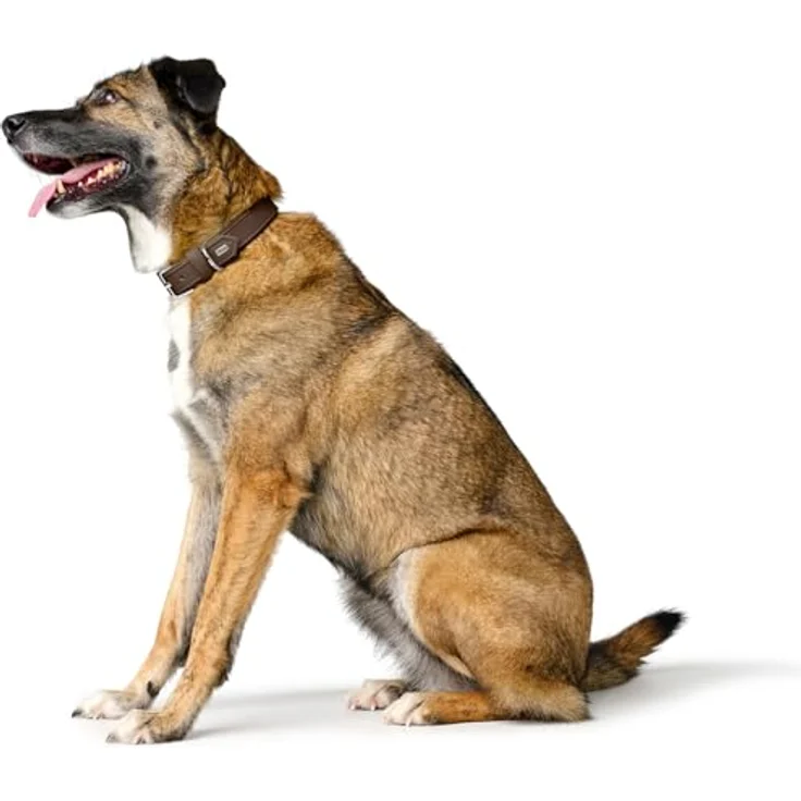 HUNTER Hundehalsband Amalfi, schokobraun, vegan, Kunstleder in Nappa-Optik, weich und pflegeleicht, Größe 60, Made in Germany – Bild 5