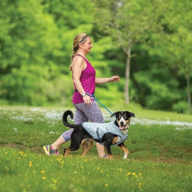 Kurgo Hundekühlweste Sommer-Kühljacke für Hunde, reflektierende Akzente, grau, Größe S, kompatibel mit Geschirr – Bild 5