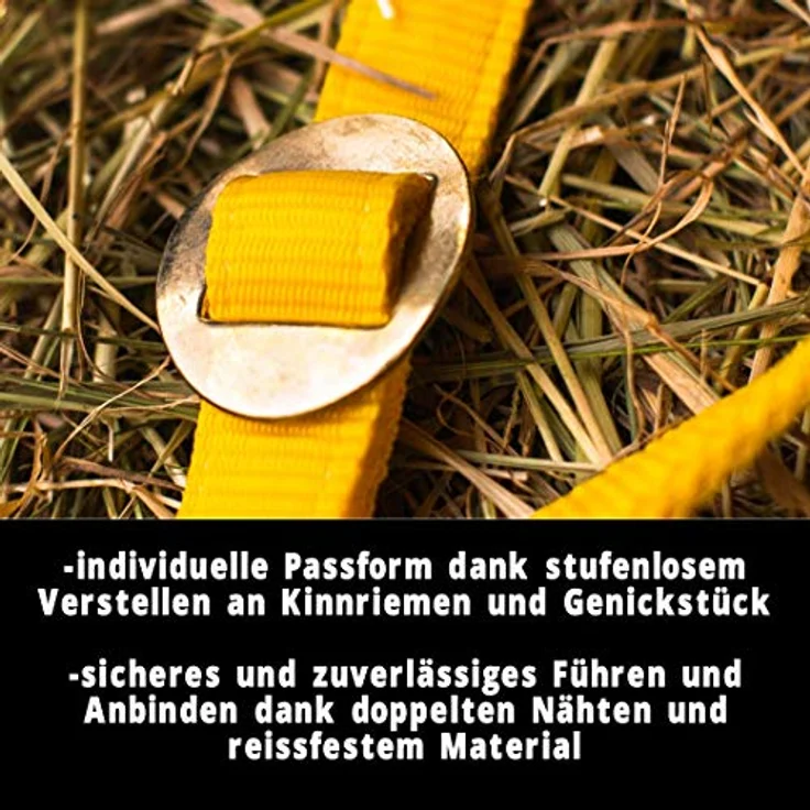 Pferdelinis Halfter für Kaltblut, 2-fach verstellbar an Kinnriemen und Genickstück, reißfest und pflegeleicht, Gelb – Bild 3