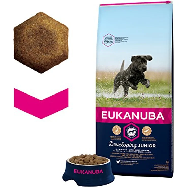 Eukanuba Developing Junior Large Breed, Hundefutter mit frischem Huhn, 12 kg, verbessertes Trockenfutter für gesunde Verdauung und Zahnpflege – Bild 2