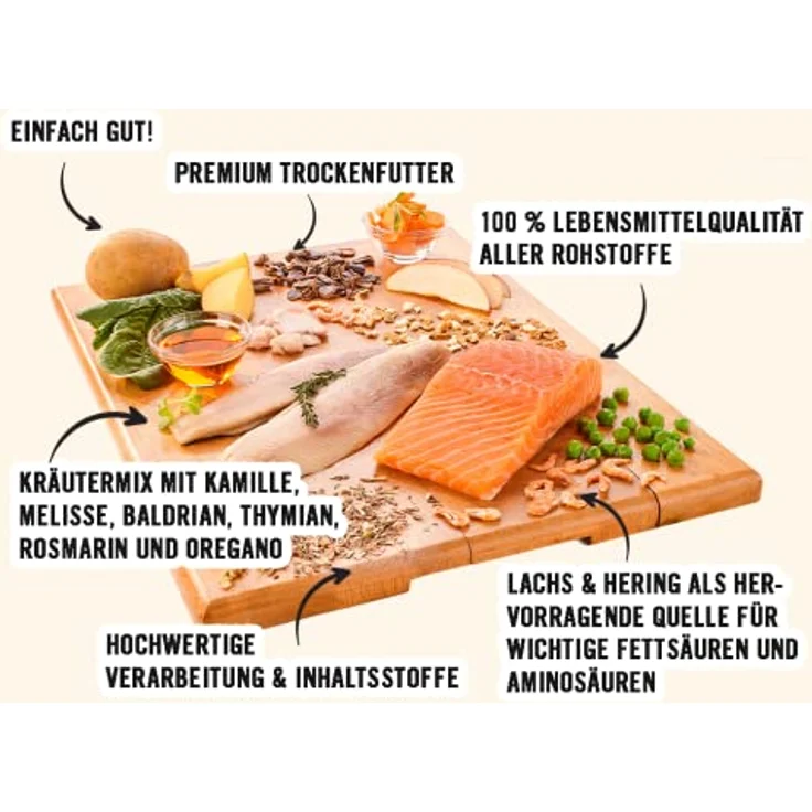 DOGS' n TIGER Adults Premium Hunde Futter, Fischers Fritz, Trockenfutter mit 70% Fleischanteil, Lachs und Hering, ohne Zucker & Getreide, 2kg – Bild 3