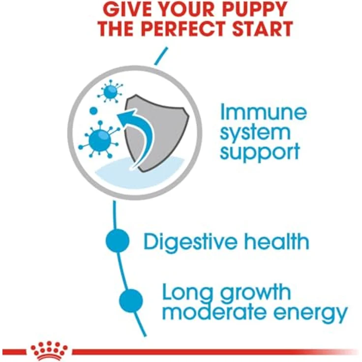 Royal Canin MAXI PUPPY, Nassfutter für große Hunde, Alleinfuttermittel, 10x140g, für Welpen bis 15 Monate – Bild 4