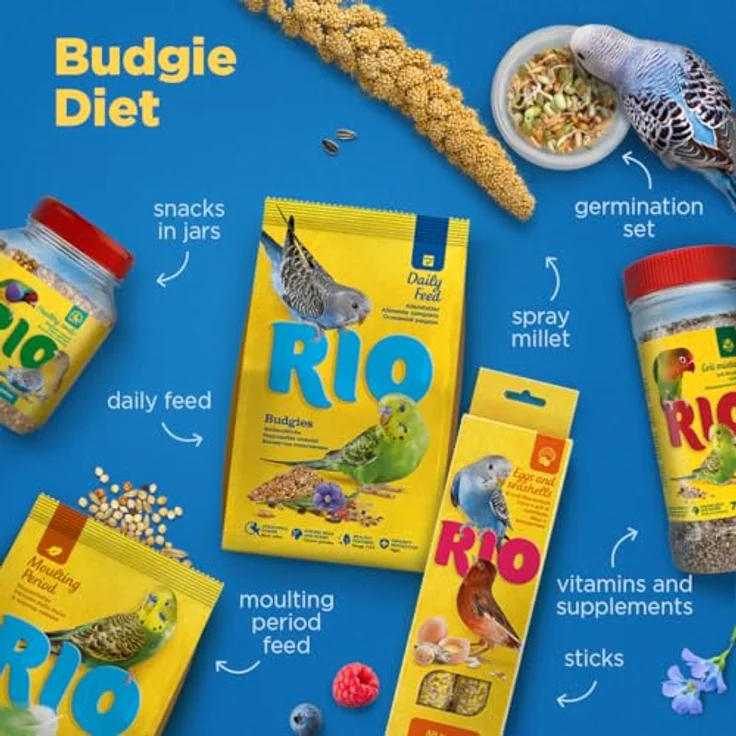 RIO Alleinfutter für Wellensittiche, 1 kg - Eiweiß- und fettreiche Mischung zur Unterstützung während der Mauser, ausgewogene Getreidesorten – Bild 4