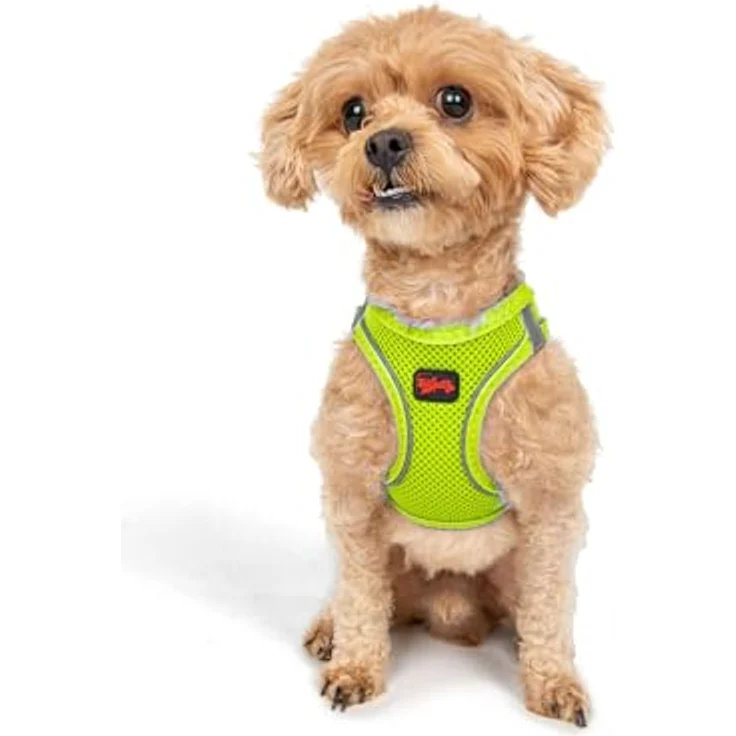 Tailpetz Air-Mesh Brustgeschirr für kleine und mittelgroße Katzen und Hunde – Weich, Atmungsaktiv, Strapazierfähig, Neonlimette, 2XS (Brustumfang 30,5–33 cm) – Bild 1