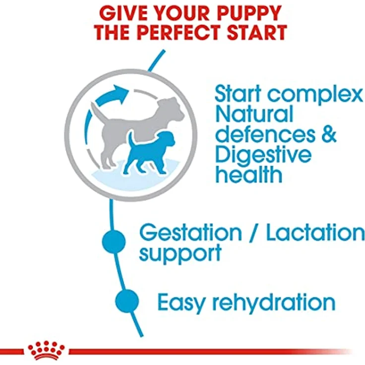 Royal Canin Mini Starter Mother & Babydog, Trockenfutter für trächtige und säugende Hündinnen sowie Welpen, 1 kg – Bild 3