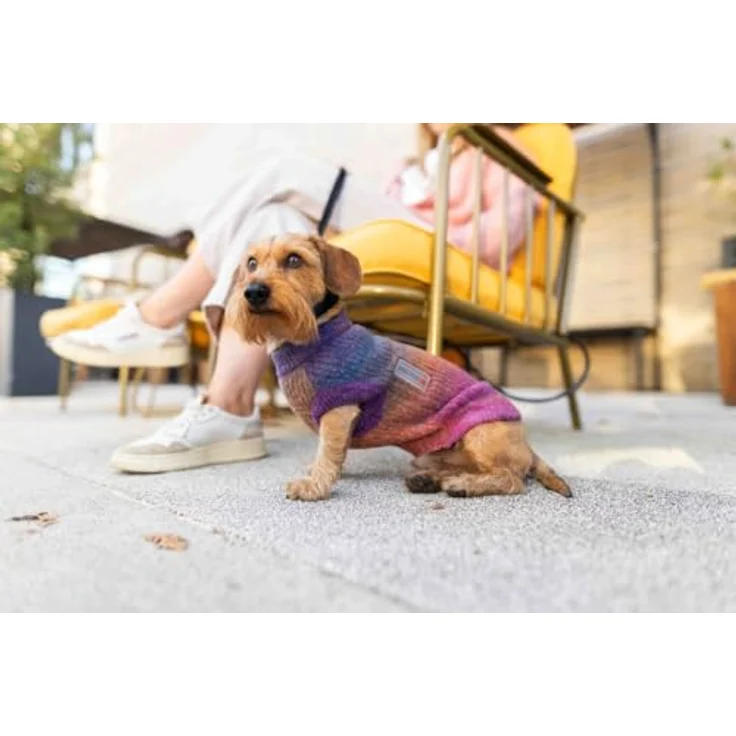 WOLTERS Strickpullover Rainbow, wärmender Hundepullover aus elastischem Strickmaterial, Größe: 20 cm – Bild 2