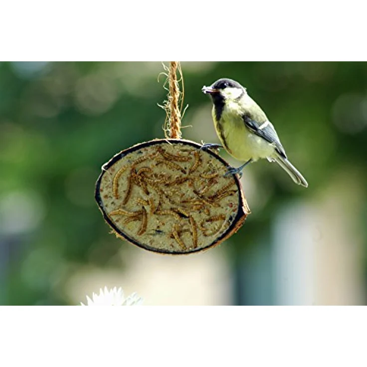 dobar® 10x gefüllte Kokosnüsse, Vogelfutter für Wildvögel, 5 Sorten für die Ganzjahresfütterung, 2 kg (1er Pack), biologisch abbaubar – Bild 5