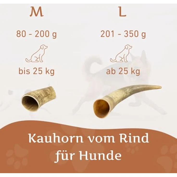 Wildfang® Rinderhorn Kauartikel, M – Langlebiges Hundespielzeug für aggressive Kauer, natürliche Zahnpflege, geeignet für Hunde bis 25 kg, 3er Pack – Bild 4