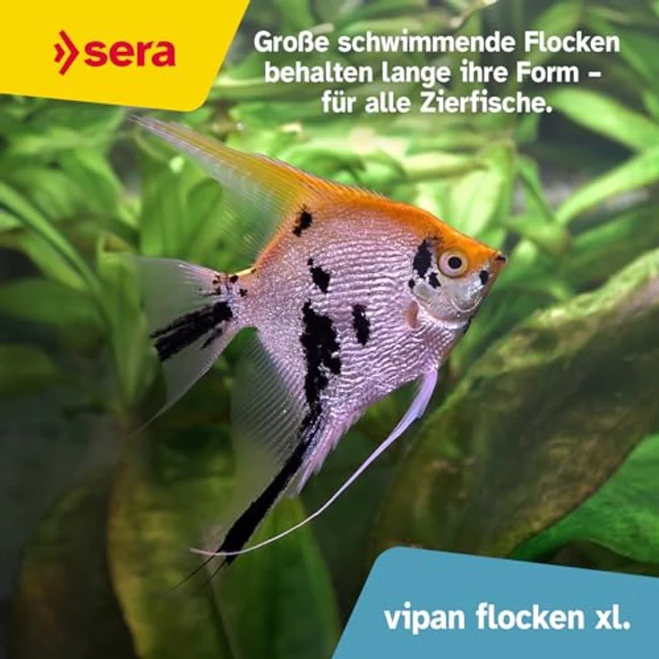 sera Vipan Nature Flakes XL 1L (210g) | Fischfutter für Zierfische mit 4% Insektenmehl | Naturnahe Ernährung für gesundes Wachstum | Formstabile Großflocken für klare Wasseroberfläche – Bild 4