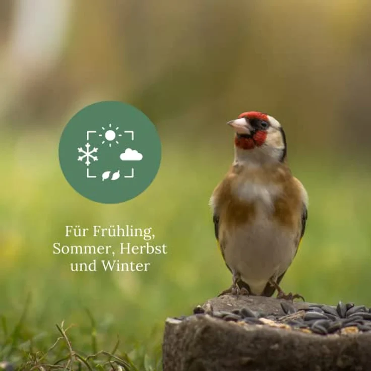 Orni Stieglitz Super Wildvogelfutter 20kg - Artgerechte Saatenmischung aus Glanz- und Negersaat für Stieglitze, Ganzjährig erhältlich – Bild 5