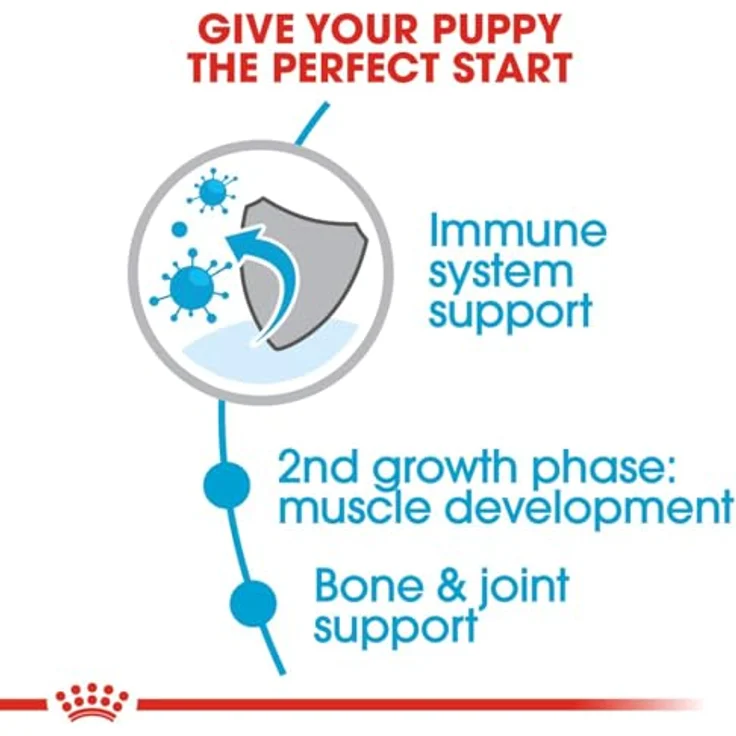 Royal Canin GIANT Junior 31, 15 kg Hundefutter mit hochverdaulichen L.I.P.-Proteinen, Joint Flexcare und Antioxidanzienkomplex – Bild 2