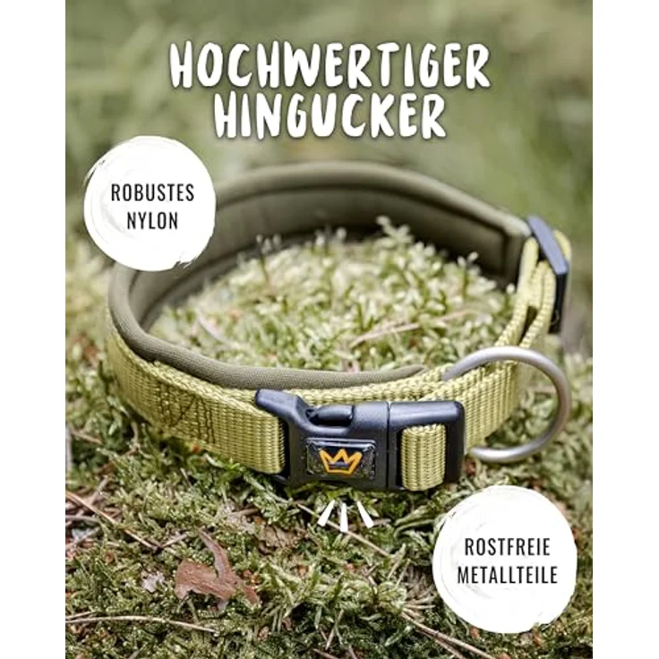 Rudelkönig Hundehalsband Bella, Verstellbares Nylon-Halsband für kleine Hunde und Welpen, Komfort-Neopren, Khaki – Bild 3