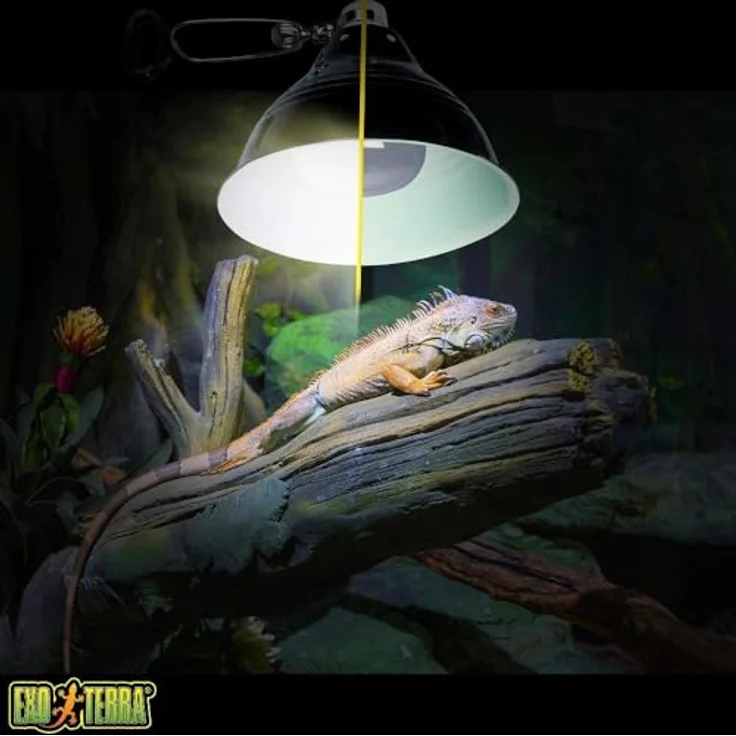 Exo Terra Intense Basking Spot, Wärmespotlampe R20, 25W E27, 35% Licht- und Wärmesteigerung, stimuliert Brutverhalten, 1 Stück – Bild 4