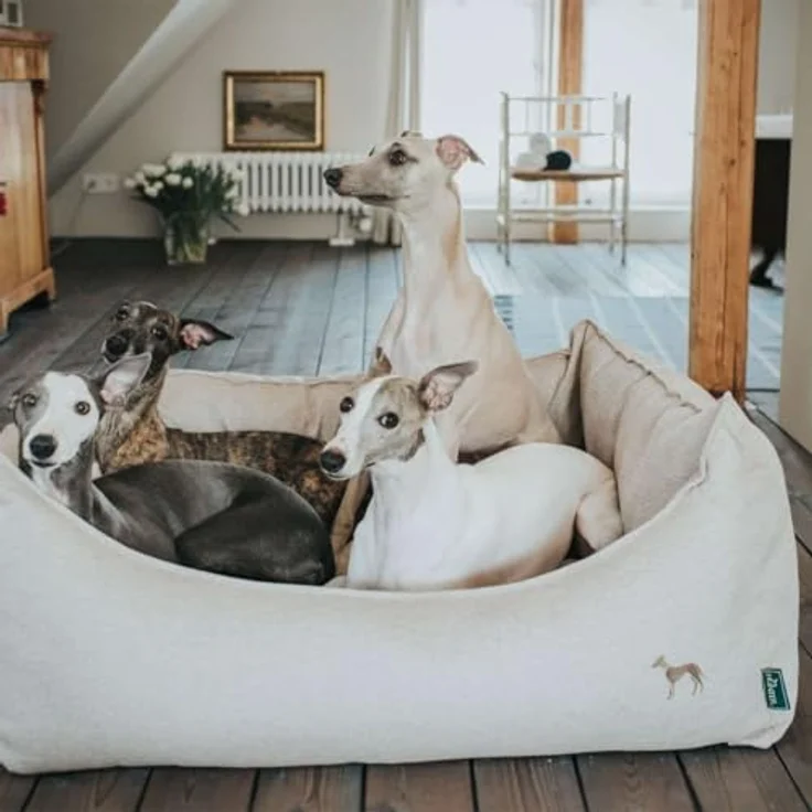 Hunter Hunde-Sofa Livingston beige M – 80x60 cm – Bild 7