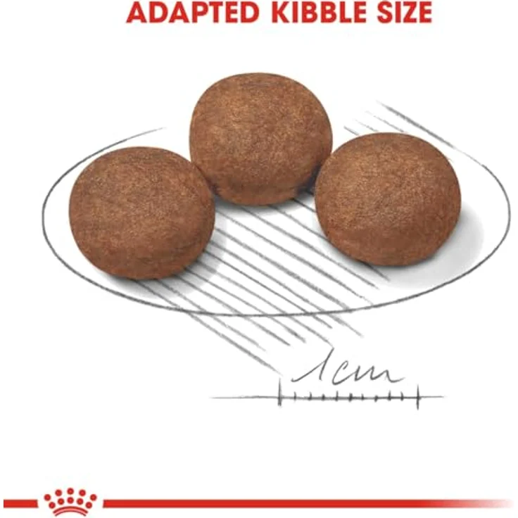 Royal Canin Medium Junior, Hunde-Trockenfutter für Welpen, 1 kg Packung – Bild 5