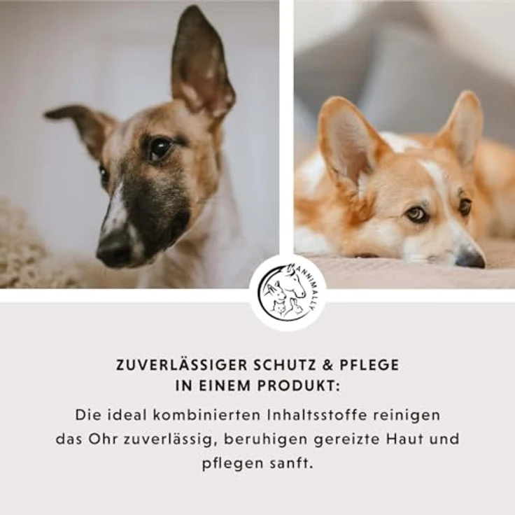 Annimally Ohrenpflege - Kolloidales Silber Ohrenreiniger für Hunde & Katzen, sanfte Reinigungs-Lösung 50 ppm, 50 ml – Bild 3