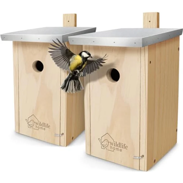 WILDLIFE HOME Nistkasten Meisen 2er Set, wetterfest aus naturbelassenem Kiefernholz mit Metalldach für Kohlmeisen, 32mm Einflugloch, einfache Montage – Bild 1