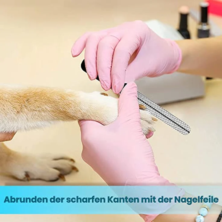 Candure Profi Krallenschere für Hunde und Katzen, Edelstahl Krallenzange mit integrierter Nagelfeile, 6 Zoll, Sicherheitsschutz – Bild 5