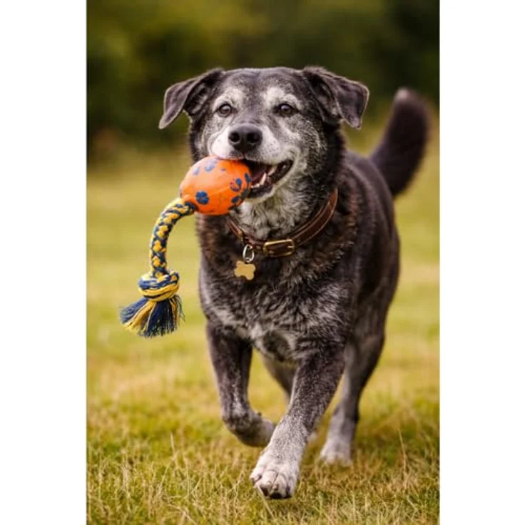 CALIBRA Joy Dog Training S & M Rindfleisch, 150 g Hundesnack für effektives Training – Bild 4