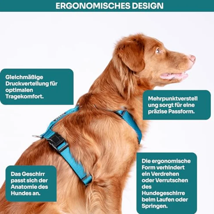 Chaba Guard Hundegeschirr, Anti-Zug & Würgen, verstellbar und ergonomisch, für mittelgroße Hunde, Größe L, MEERES – Bild 4