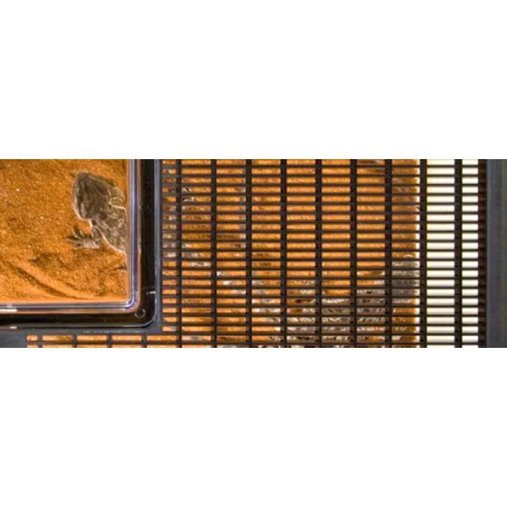 Exo Terra Faunarium, Allzweckbehälter für Reptilien, Amphibien, Mäuse und Insekten, groß flach, 46,5 x 30,5 x 18 cm, mit transparenter Plastiktür und einfach zu reinigen. – Bild 2