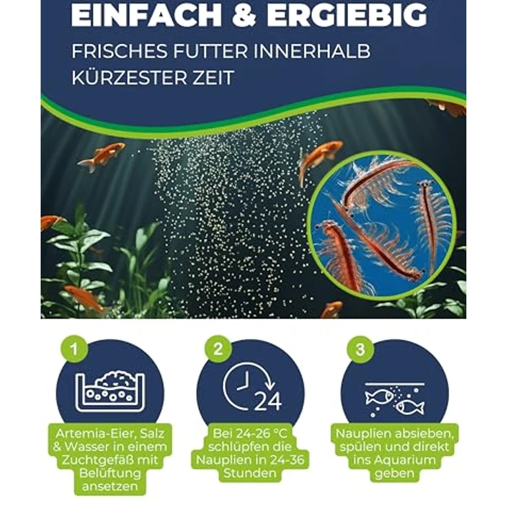 HOBBY Aquaristik Artemia Eier 20 ml, Lebendfutter für Aquarienfische zur Zucht von Artemia-Nauplien, nährstoffreiches Futter für Süß- und Salzwasserfische – Bild 3