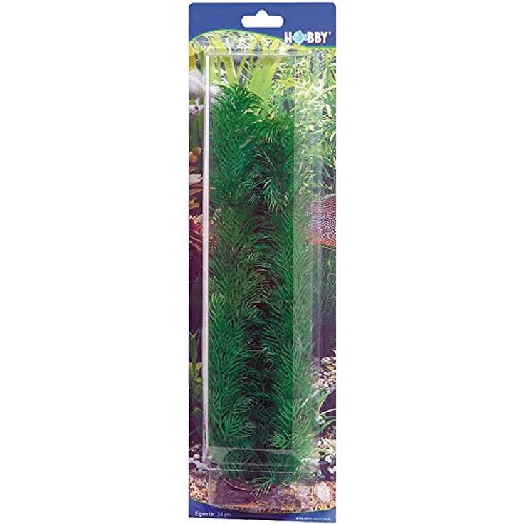 HOBBY Aquariendeko Egeria, 34 cm künstliche Aquariumpflanze mit natürlicher Bewegung und gutem Halt im Bodengrund – Bild 2