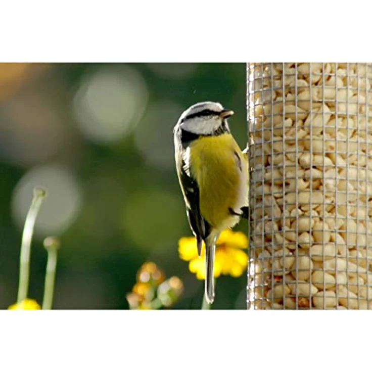 dobar 11523 Großer Futterspender für Vögel mit Edelstahlgitter, XL Futterstation-Futtersäule für Wildvögel zum Aufhängen, 9.5 x 9.5 x 39 cm, Metall – Bild 6