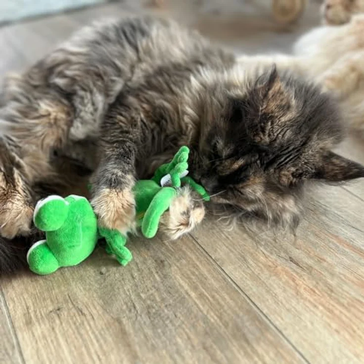 Aumüller Katzenspielkissen Chamäleon Olly mit Baldrian und Dinkelspelz, bunt – Bild 4